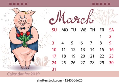 Calendar for March 2019, year of the Pig. Pig, symbol of the year vector illustration. Handwritten inscription of the month. March 8. red Tulip.