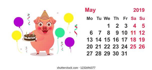 Calendar May 2019 funny pig holds birthday cake. Vector cartoon illustration