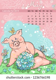 Calendar for may 2019, year of the Pig. Pig, symbol of the year, vector illustration. Handwritten inscription of the month. Spring, bloom.