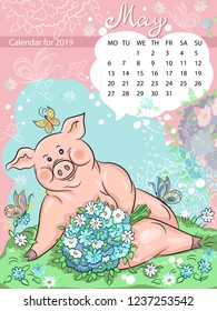 Calendar for may 2019, year of the Pig. Pig, symbol of the year, vector illustration. Handwritten inscription of the month. A bouquet of flowers, clouds white.