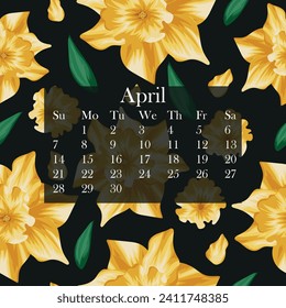 calendar, the month of April 2024 on a floral background, namely on the background of yellow daffodil buds with petals and green leaf on a black background, for planners, notebooks or calendars