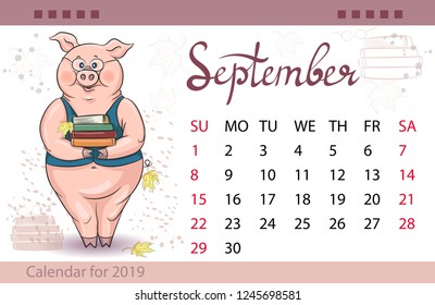 Calendar for September 2019, year of the Pig. Pig, symbol of the year, vector illustration. Handwritten inscription of the month. September 1 - knowledge Day, teacher's Day, fall, school.