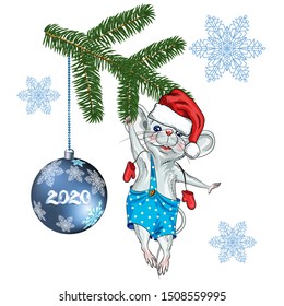 Calendar for the year 2020 Rats, suitable for the month of December, January, Zodiac sign, Horoscope, greeting card-happy new year and merry Christmas. Drawing a white mouse on a spruce branch.
