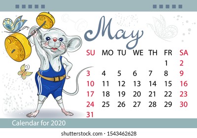 Calendar for the year 2020 of the white rat. Handwritten inscription of the month of may. Image of a mouse with a bar of cheese. Decorative greeting card with fitness Day. 