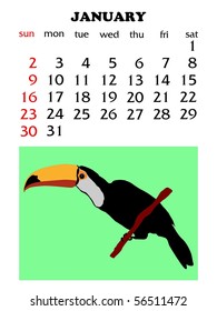 Calender 2011, January