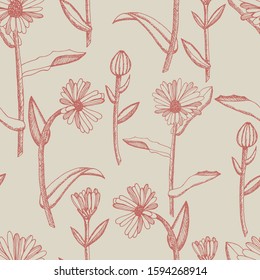 Calendula. Collection of hand drawn flowers and plants. Set of medicinal herbs sketch. Illustration in the style of engraving. Botanical plant illustration. Seamless pattern.