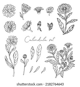 Juego de doodles Calendula. Silueta lineal negra. Para perfumería y cosmética. Ilustración del vector