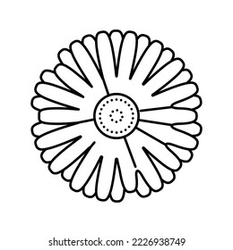 calendula flower bud line icon vector. calendula flower bud sign. isolated contour symbol black illustration
