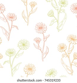 Calendula flower graphic color seamless pattern sketch illustration vector