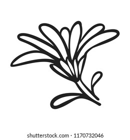 Calendula flower icon. Simple illustration of calendula flower vector icon for web design isolated on white background