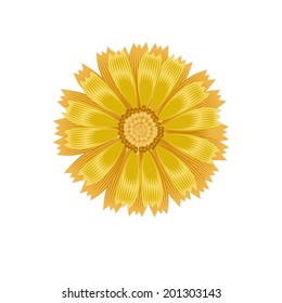 Calendula flower isolated on  white. Vector illustration