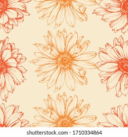 Calendula flower seamless pattern. Marigold floral stems hand drawn