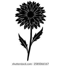 Calendula Flower in silhouette vector 