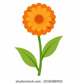 calendula flower vector icon with white background