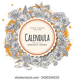 Calendula flowers encircle a labeled vector design for organic herbs, with detailed hand-drawn blossoms and splashes of color