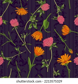 calendula flowers, field marigold zand red clover, vector drawing seamless pattern with wild plants at dark vintage background, flowering meadow , hand drawn botanical illustration