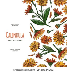 Calendula flowers. Vector seamless border border with a frame of medicinal plants and space for text, ideal for cards and invitations.