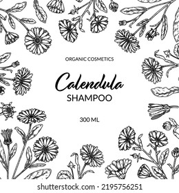 Calendula frame with hand drawn elements. Vector illustration in sketch style. Vintage packaging design