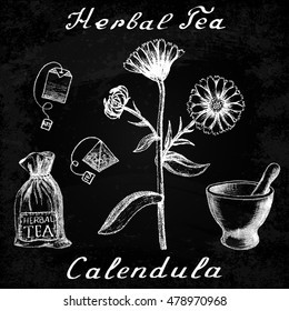 Calendula hand drawn sketch botanical illustration. Utensils for tea. Vector illustation. Medical herbs. Effect of chalk board. Grunge background