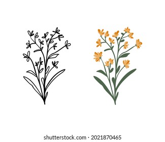 Calendula is a herbaceous medicinal plant with yellow flowers and a sketch is a black and white doodle style drawing. Can be used for the design of various packages, cards, banners, labels.