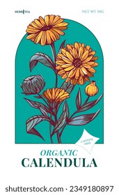 Calendula herbal tea. Hand drawn herbal plants. Sketch vector illustration. Labels and package design