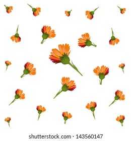 calendula homeopathic