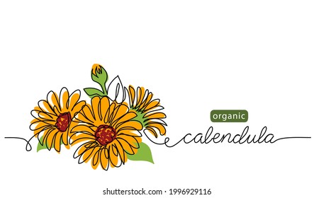 Calendula, marigold flower vector illustration, background for label design. One continuous line art drawing illustration with lettering organic calendula.