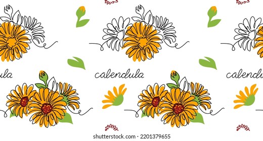 Calendula, marigold flower vector pattern, background for label design. One continuous line art drawing calendula pattern.