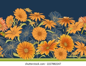 Calendula medicinal herbs and flowers seamless pattern, background. Vector illustration.