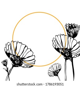 Calendula officinalis design elements. Marigold frames ribbon tape designs.  Hand drawn vector sketch composition. Color composition vector eps 8.