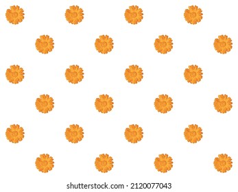 Calendula officinalis flower. Orange marigold seamless pattern. Vector.
