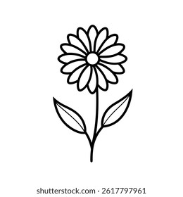 Calendula Outline icon on White Background
