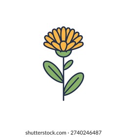 Calendula Plant with Stylized Stem Botanical Garden Illustration Green Leafy Foliage