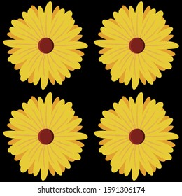 Calendula seamless pattern for print design. Vector floral print. Calendula flower isolated.
