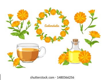 Calendula set. Vector cartoon orange flowers isolated on white background. Marigold flowers wreath, tea, calendula oil and bouquet in cartoon simple flat style. Healing herbs.