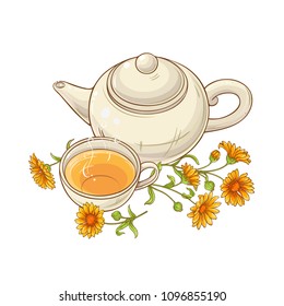 calendula tea vector illustration