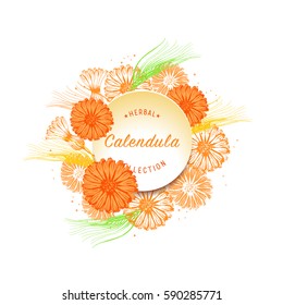 Calendula vector. Decorative floral  wreath of calendula and button with words for web, branding design, medicine,  body care products, natural and eco products, stickers, packaging and much more.