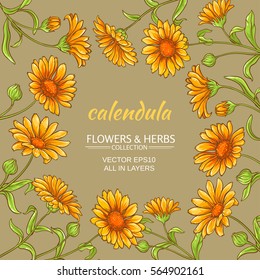 calendula vector frame