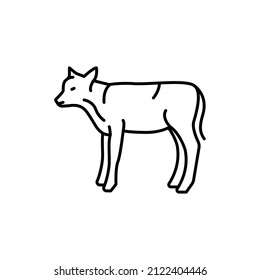 Calf Animal Color Line Icon. Pictogram For Web Page, Mobile App, Promo.