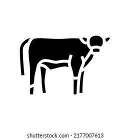 calf domestic animal glyph icon vector. calf domestic animal sign. isolated contour symbol black illustration