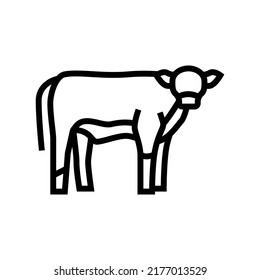 calf domestic animal line icon vector. calf domestic animal sign. isolated contour symbol black illustration