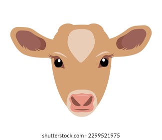 Calf head icon. Cute Baby cow face. Dairy cattle. Farm animal. Vector flat or cartoon illustration icon isolated on white backfround.