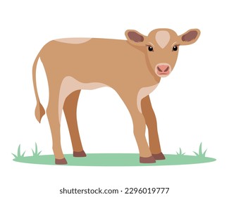 Calf icon. Baby cow. Best Beef Cattle Breed. Dairy cattle. Farm animal. Vector flat or cartoon illustration icon isolated on white backfround.