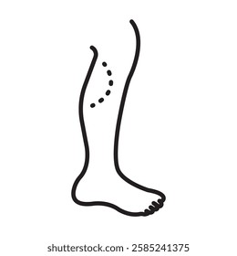 Calf plastic surgery line icon Flat vector set outline