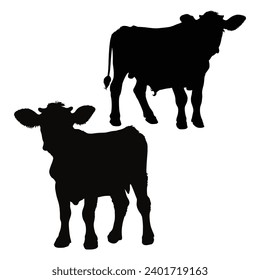Calf silhouette on white Background
