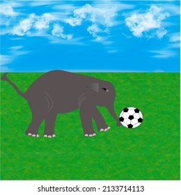 Calf with soccer ball on green grass, having fun, vector illustration