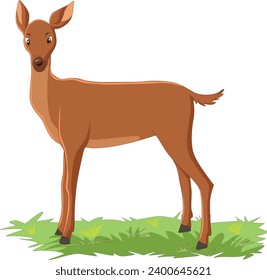 Calf standing on grass vector illustration