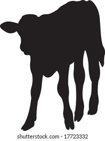 calf, vector