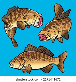 Calico Bass Fish Template For Premium Pack