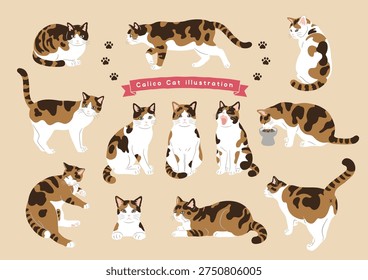 Calico cat character set with different poses